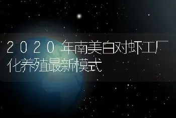 2020年南美白对虾工厂化养殖最新模式