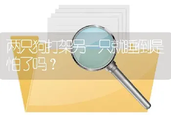 两只狗打架另一只就睡倒是怕了吗？