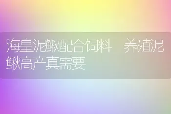 海皇泥鳅配合饲料 养殖泥鳅高产真需要