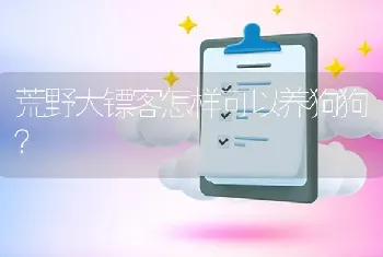 荒野大镖客怎样可以养狗狗？