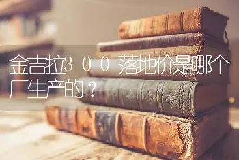 金吉拉300落地价是哪个厂生产的？