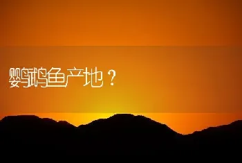 鹦鹉鱼产地？