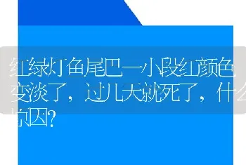 红绿灯鱼尾巴一小段红颜色变淡了，过几天就死了，什么原因？