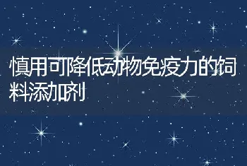 慎用可降低动物免疫力的饲料添加剂