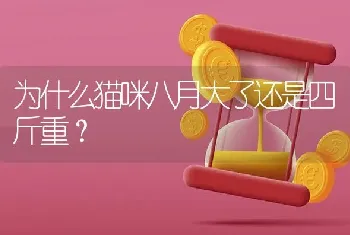 为什么猫咪八月大了还是四斤重？