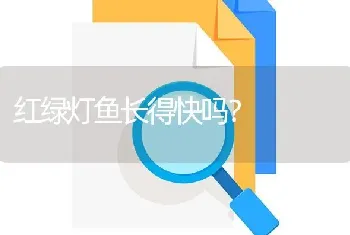 红绿灯鱼长得快吗？