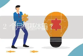 比熊和阿拉斯加哪个好？