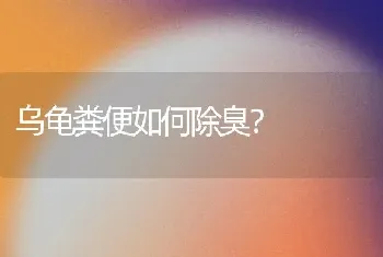 乌龟粪便如何除臭？