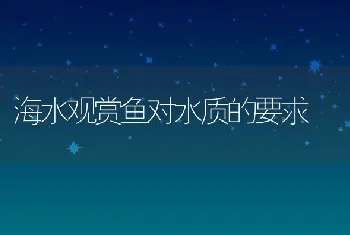 海水观赏鱼对水质的要求