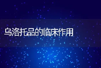 网箱养殖鲈鱼病害防治措施