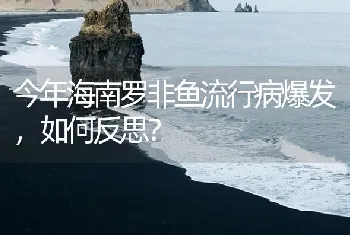 今年海南罗非鱼流行病爆发，如何反思？