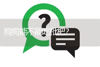 狗狗能不能吃枇杷？