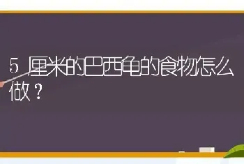 5厘米的巴西龟的食物怎么做？