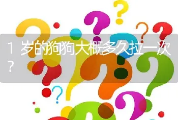 1岁的狗狗大概多久拉一次？