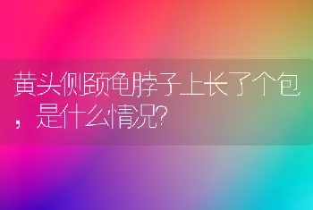 黄头侧颈龟脖子上长了个包，是什么情况？