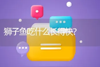 狮子鱼吃什么长得快？