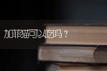 加菲猫可以吃吗？