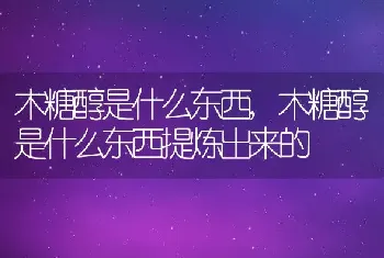 木糖醇是什么东西，木糖醇是什么东西提炼出来的