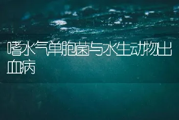 嗜水气单胞菌与水生动物出血病