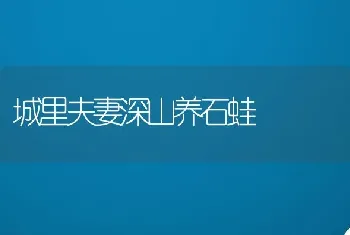 城里夫妻深山养石蛙