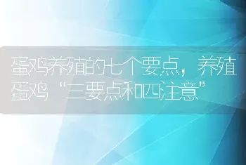 蛋鸡养殖的七个要点，养殖蛋鸡“三要点和四注意”