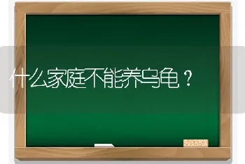 什么家庭不能养乌龟？