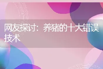 网友探讨：养猪的十大错误技术