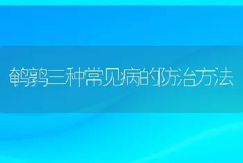 鹌鹑三种常见病的防治方法