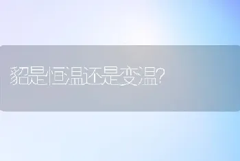 刚生的小乌龟通人性吗？