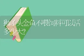 狮子头金鱼不喂饲料可以活多少天？