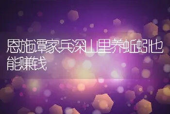 恩施谭家兵深山里养蚯蚓也能赚钱