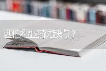 西伯利亚猫优缺点？