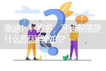 泰迪11岁多，牙齿脱落是什么原因导致的？