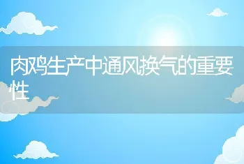 肉鸡生产中通风换气的重要性