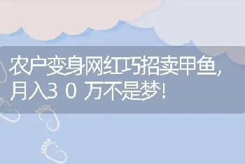 农户变身网红巧招卖甲鱼，月入30万不是梦！