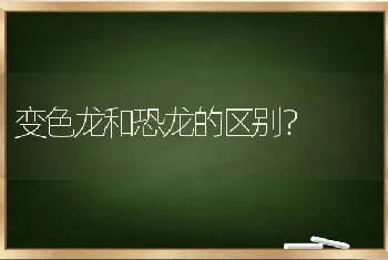 柯基犬三色还是两色好？