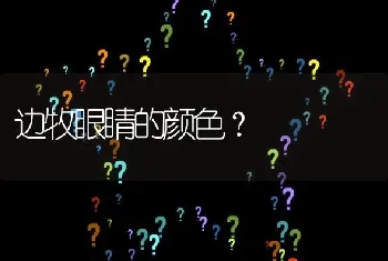 边牧眼睛的颜色？