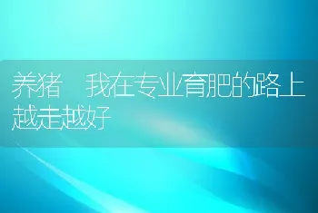 养猪我在专业育肥的路上越走越好