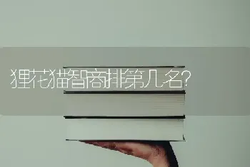 雪纳瑞聪明么？听话么？