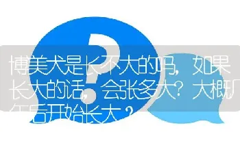 博美犬是长不大的吗，如果长大的话，会张多大?大概几年后开始长大？