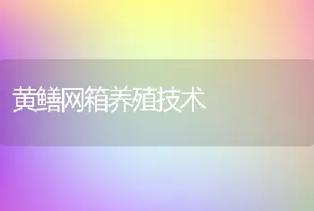 黄鳝网箱养殖技术