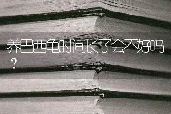 养巴西龟时间长了会不好吗？