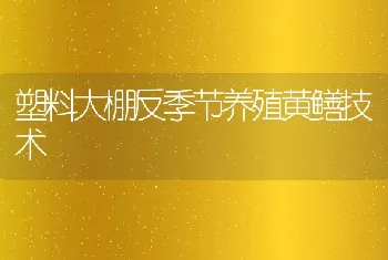 塑料大棚反季节养殖黄鳝技术