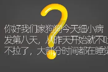 你好我们家狗狗今天细小病发第八天，从昨天开始就不吐不拉了，大部分时间都在睡觉，这样算有好转吗？