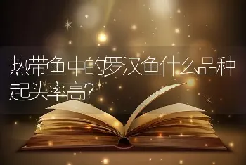 请问高手神仙鱼该怎么养？