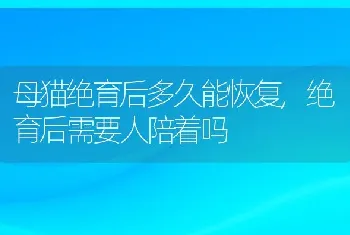 母猫绝育后多久能恢复，绝育后需要人陪着吗