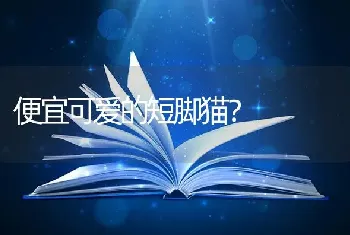 幼犬可以和成犬放在一个笼子里吗？