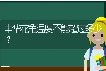 中华花龟温度不能超过多少？