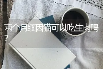 金毛尖嘴好还是宽最好？