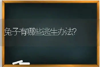 兔子有哪些逃生办法？